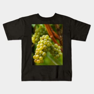 Ripening grapes on the vine Kids T-Shirt